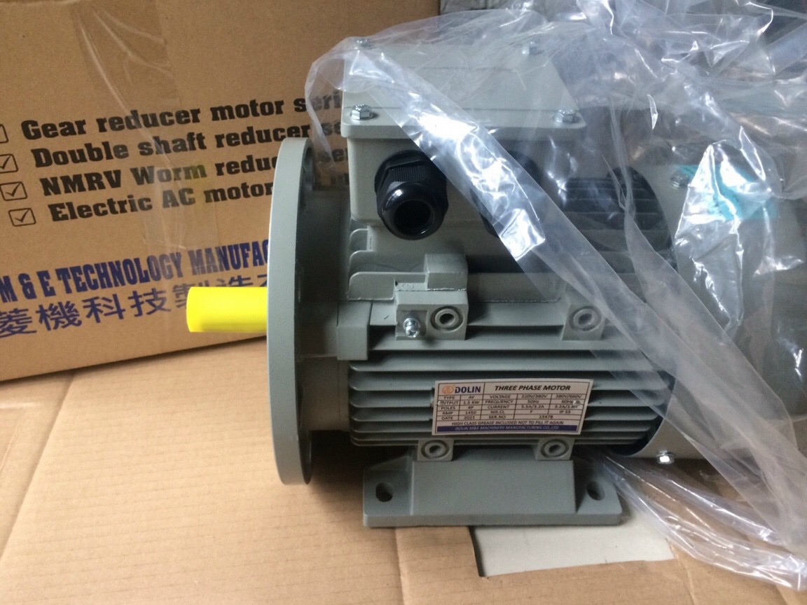 Three Phase Induction Motor