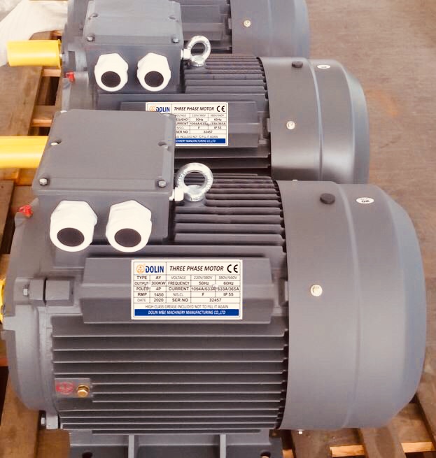 motor 3pha 300kw