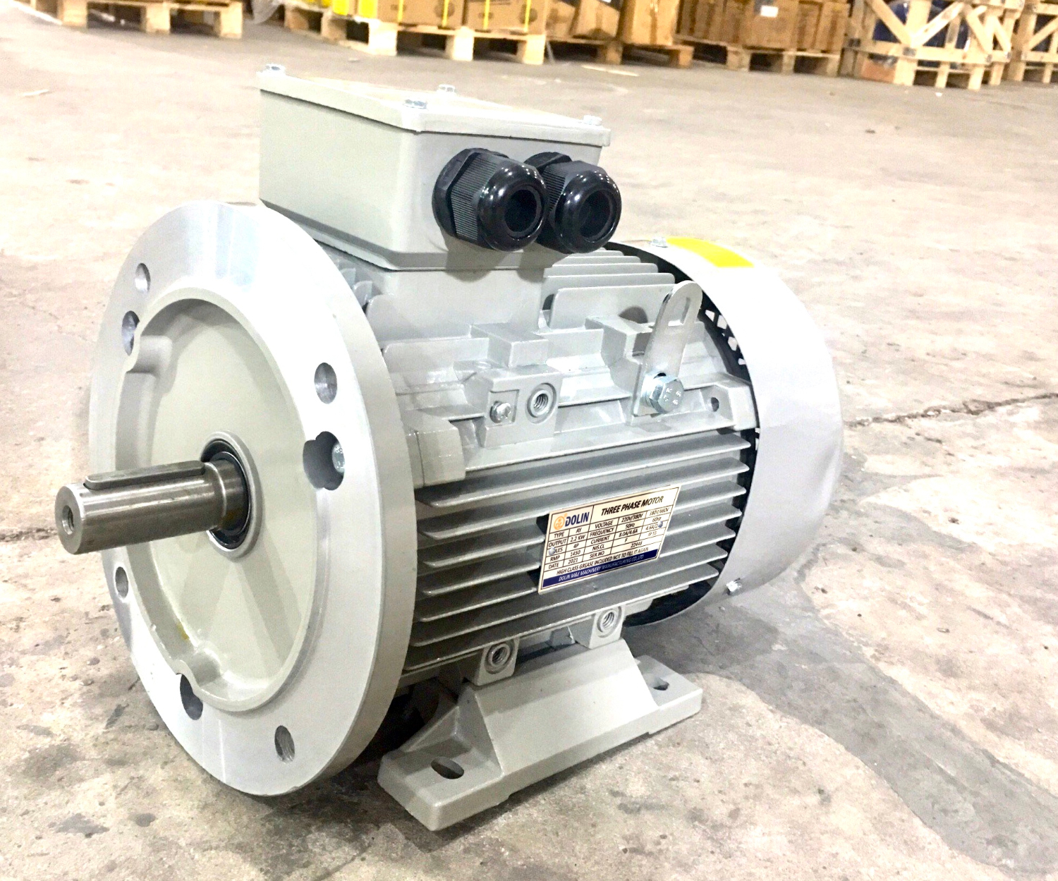 dong co dien mat bich